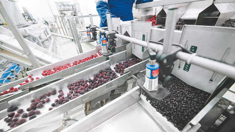 Lebensmittelindustrie: Volumenstrommessung
