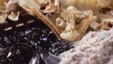 Coarse grains, chips or fine sand