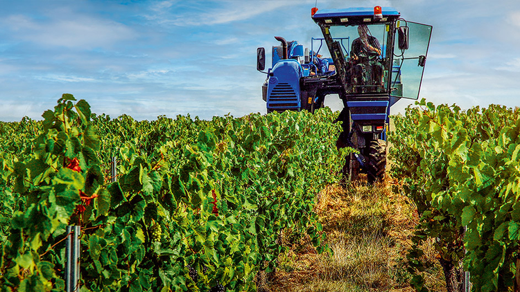 Tecnologia agricola: Guida su binari